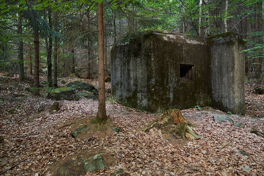 Bunker im Wald